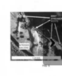 Boron Nitride Nanotube