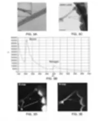 Boron Nitride Nanotube